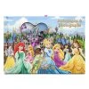 Disney Autograph Book And Photo Album - Princess - Disneyland