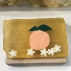 Disney Basin Fresh Cut Soap - Florida Orange
