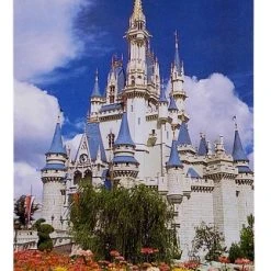 Disney Postcard - Cinderella Castle With Flowers - Magic Kingdom