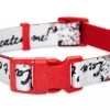 Disney Dog Collar - 101 Dalmatians